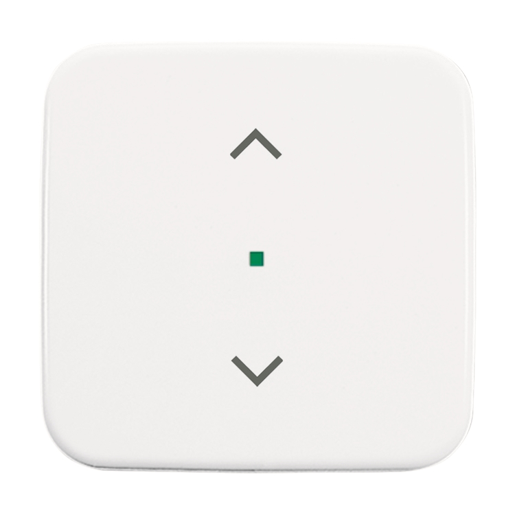 1St. Busch-Jaeger 6232-10-214 Wippe, 1-fach, mit Symbol Jalousie Busch-free@home alpinweiß