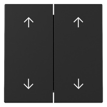 1St. Gira 3297005 Wippe 2-fach Pfeile System 55 schwarz matt