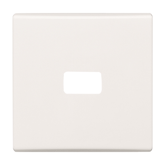 1St. Busch-Jaeger 2120-34 Wippe, offen für Symbol Allwetter 44 (IP 44) alpinweiß