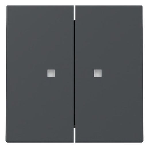 1St. Gira 363128 Wippe 2-fach Kontrollfenster System 55 anthrazit