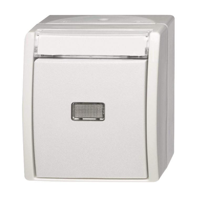 1St. Busch-Jaeger 2621 WN-54-201 Wipptaster, Schließer ocean (IP 44) alpinweiß