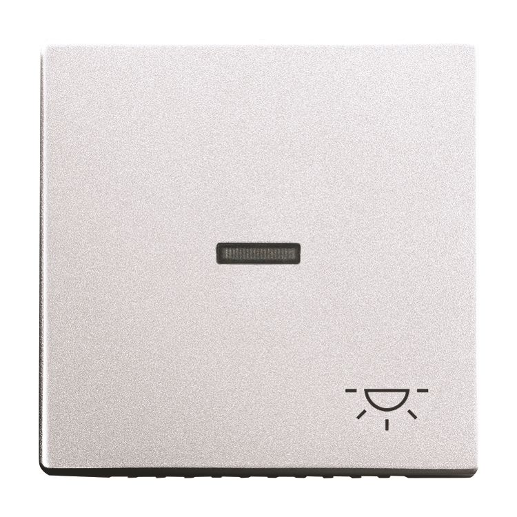 1St. Busch-Jaeger 1789 LI-83 Wippe mit Aufdruck Licht, mit kleiner transparenter Kalotte Busch-axcent alusilber