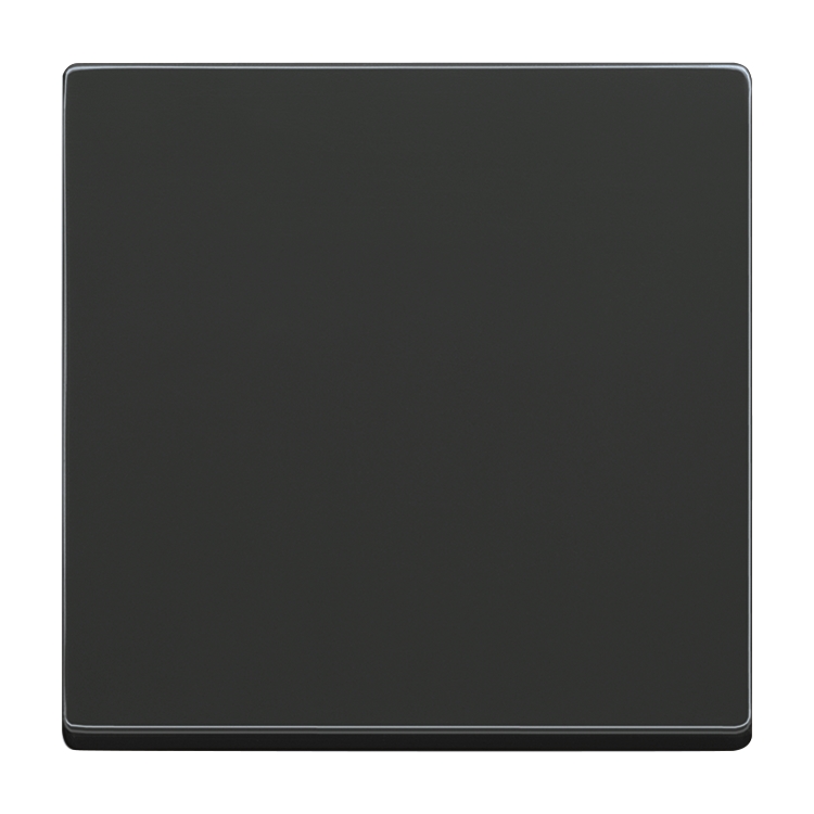 1St. Busch-Jaeger 1786-81 Wippe für Wechselschalter Busch-dynasty anthrazit