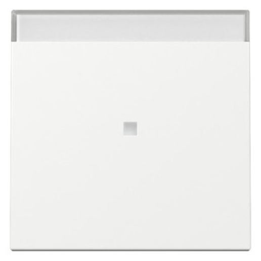 1St. Gira 367003 Wippe Kontrollfenster + BSF System 55 reinweiß glänzend