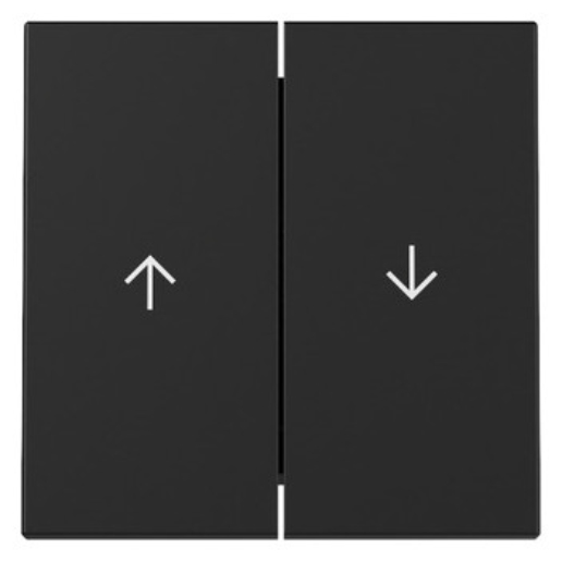 1St. Gira 3294005 Wippe 2-fach Pfeil System 55 Schwarz matt