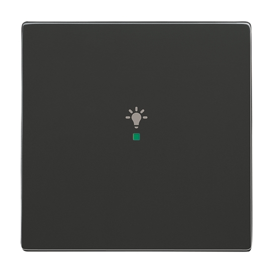 1St. Busch-Jaeger 6231-10-81 Wippe, 1-fach, mit Symbol Licht Busch-free@home anthrazit