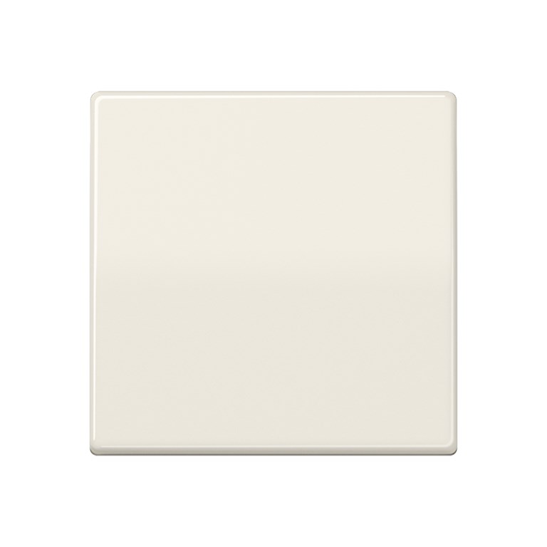 1St. Jung AS591BF Wippe Zentralplatte bruchsicher für Schalter Taster und Taster BA 1fach Weiss AS 591 BF