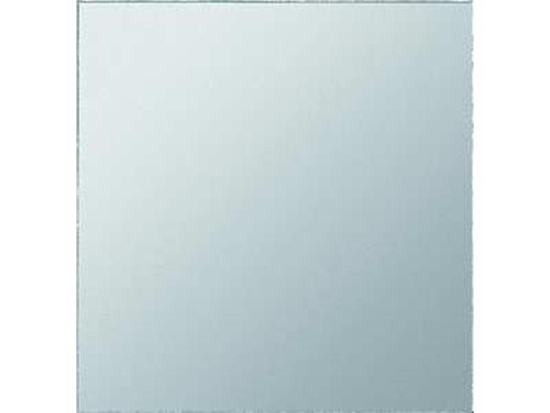 1St. Gira 009930 Ersatzscheibe WG Aufputz