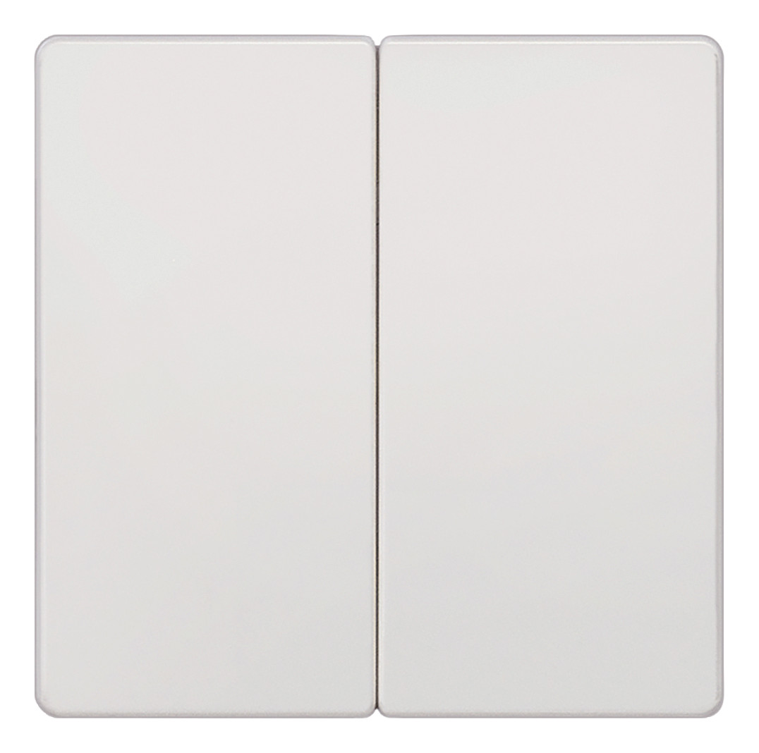 1St. Siemens 5TG6205 DELTA i-system Wippe 2-fach neutral für 1St. Siemens 5TG6205 DELTA i-system Wippe 2-fach neutral für...