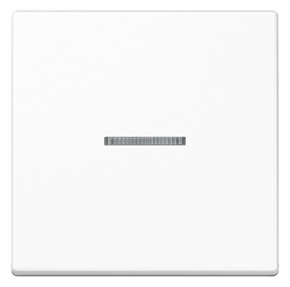 1St. Jung JUNG HOME Taster 1fach BTA17101WW