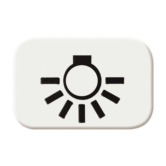 10St. Busch-Jaeger 2525 LI-214 Tastersymbol, Licht Busch-balance SI alpinweiß