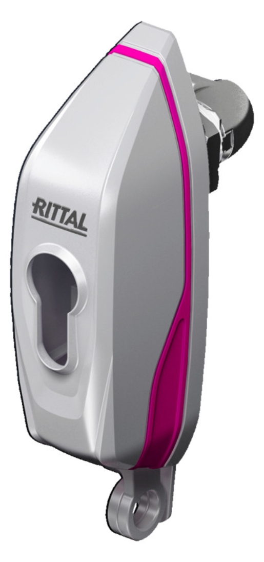 1St. Rittal AX 2537.300 Mini-Komfortgriff AX, für Vorhängeschlös AX2537300
