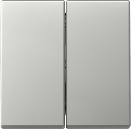 1St. Gira 3295600 Wippe 2-fach System 55 edelstahl (lackiert)