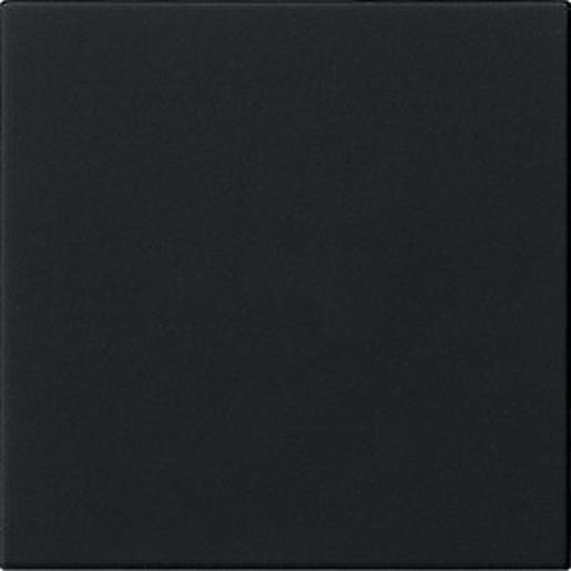 1St. Gira 5372005 Wippe 1f unbedruckt System 55 Schwarz m