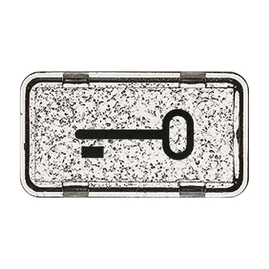 1St. Busch-Jaeger 2622 TR-101 Tastersymbol, Schlüssel Allwetter 44 (IP 44) glasklar