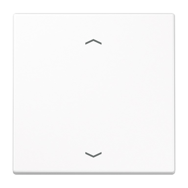 1St. Jung LS1700PWW Steuertaste Standard Symbole Pfeile LS 1700 P WW 1St. Jung LS990PWW Wippe Symbole Pfeile für Taster BA 1fach Mittenstellung LS 990 P WW