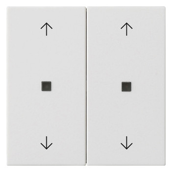 1St. Gira Wippe 2f Pfeile System 55 538727 Reinweiß m