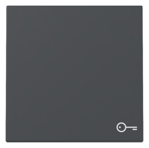 1St. Gira 328728 Wippe Symbol Tür System 55 anthrazit