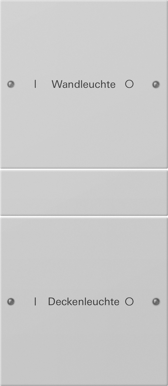 1St. Gira 2202015 Wippenset 2f (1+1) beschr. System 55 Grau m(lack.)