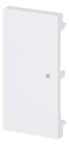 1St. Busch-Jaeger 6230-20-44G Wippe, 2-fach neutral ohne Bedruckung