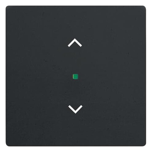 1St. Busch-Jaeger 6232-10-885 Wippe, 1-fach, mit Symbol Jalousie Busch-free@home schwarz matt