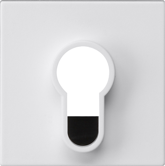 1St. Gira 866427 Abd.Schlüsselschalter/-taster o.Aufdruck System 55 Reinweiß m