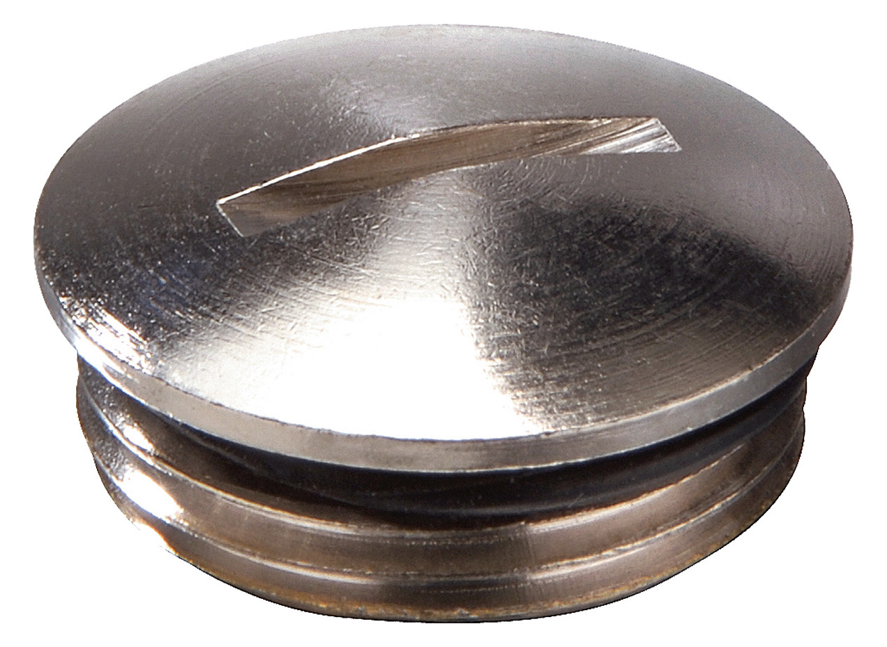 1St. Wiska 10065083 Messingverschlussschraube M25 EMVS-ORD 25