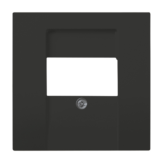 1St. Busch-Jaeger 1766-81 Zentralscheibe für TAE Busch-dynasty anthrazit