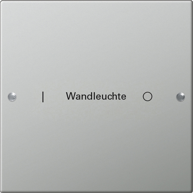 1St. Gira 2131602 Wippenset 1f beschr. System 55 Edelstahl