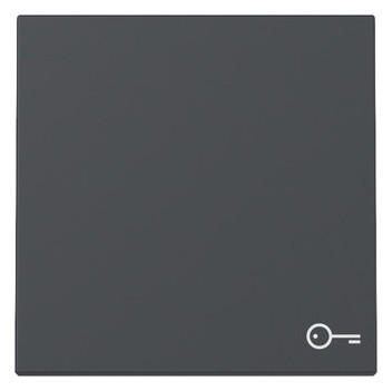 1St. Gira 328728 Wippe Symbol Tür System 55 anthrazit