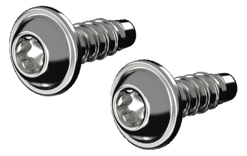 1St. Rittal AX 1485.300 Schraube für Innenausbau, für AX Kunstst AX1485300