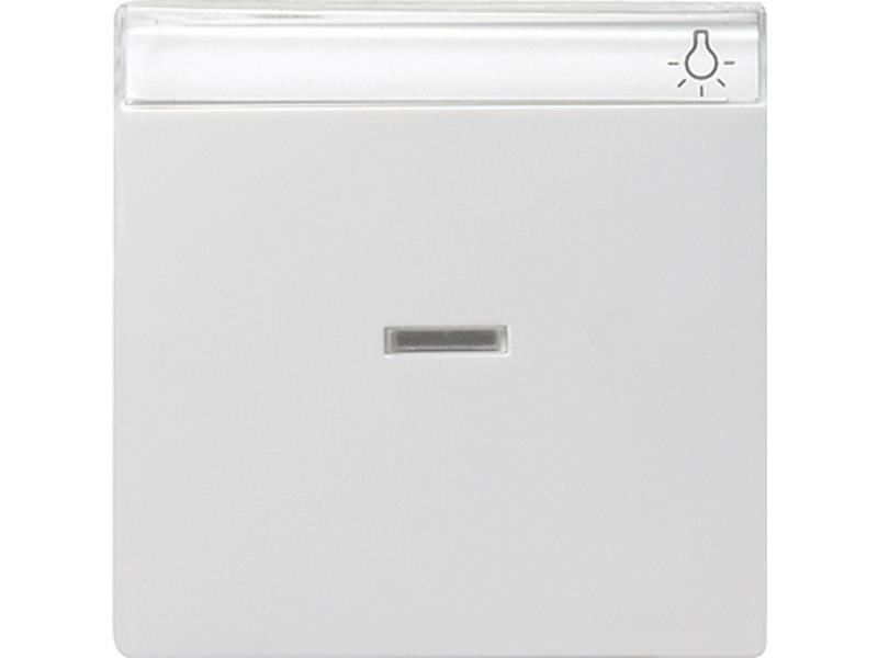 1St. Gira 067003 Wippe Kontroll mit Beschriftungsfeld System 55 Reinweiß glänzend