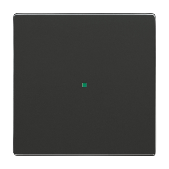 1St. Busch-Jaeger 6230-10-81 Wippe, 1-fach, ohne Bedruckung Busch-free@home anthrazit