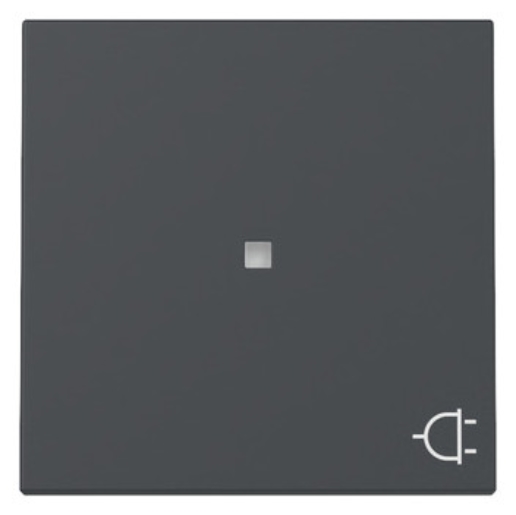 1St. Gira 329128 Wippe Kontrollfenster + Symbol Steckd. System 55 anthrazit