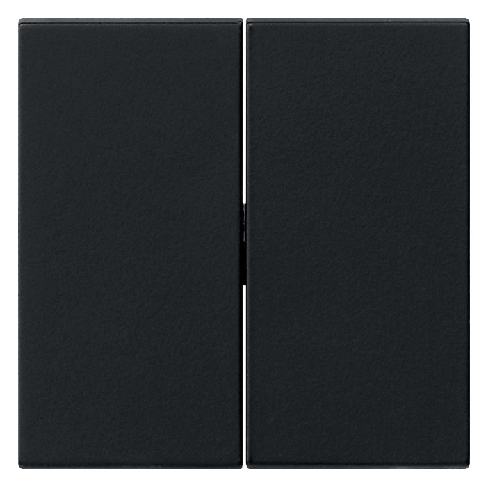 1St. Gira 0295005 Wippe 2fach System 55 Schwarz matt 1St. Gira 0295005 Wippe 2fach System 55 Schwarz matt...