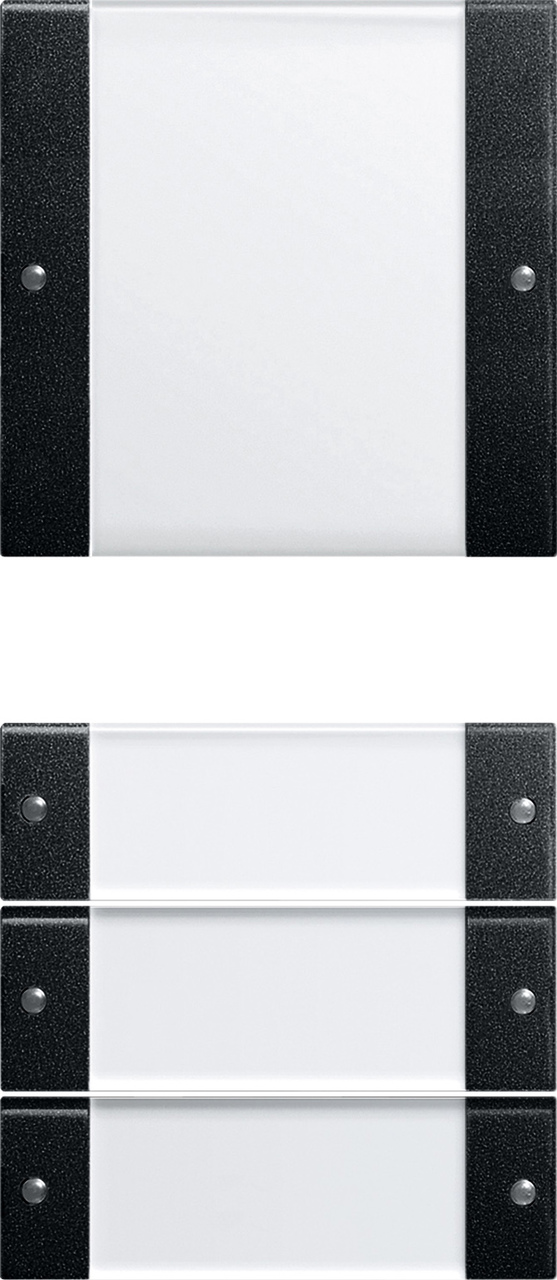 1St. Gira 2134005 Wippenset 4f (1+3) BSF System 55 Klar/Schwarz m