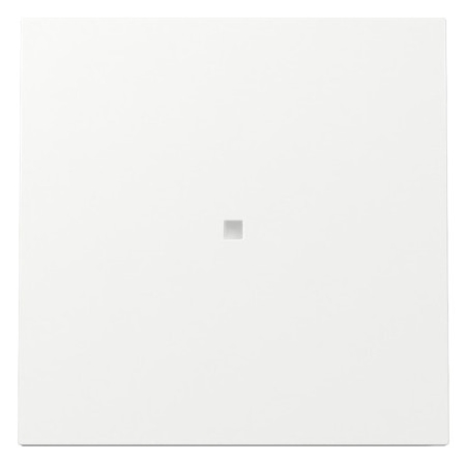 1St. Gira 329070 Wippe Kontrollfenster Flächenschalter