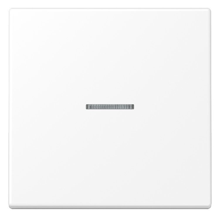 1St. Jung BT LS 17101 WWM Jung HOME Taster 1fach, Duroplast lackie