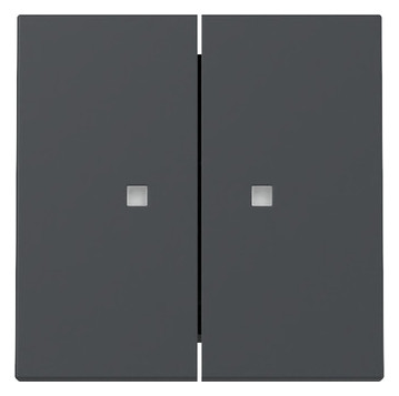 1St. Gira 363128 Wippe 2-fach Kontrollfenster System 55 anthrazit