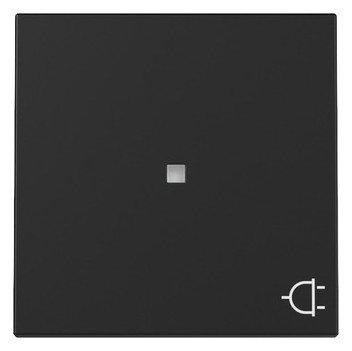 1St. Gira 3291005 Wippe Kontrollfenster + Symbol Steckd. System 55 schwarz matt