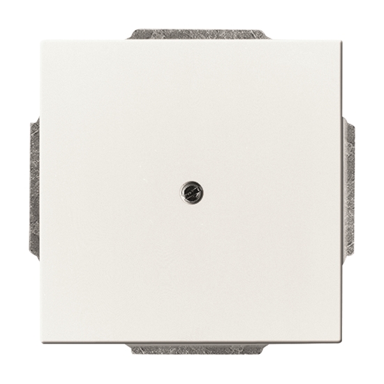 1St. Busch-Jaeger 1742-84 Blindzentralscheibe, mit Tragring carat studioweiß