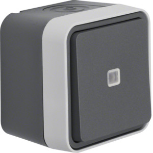 1St. Berker 31763505 Kontroll-Wechselschalter AP W.1 grau...