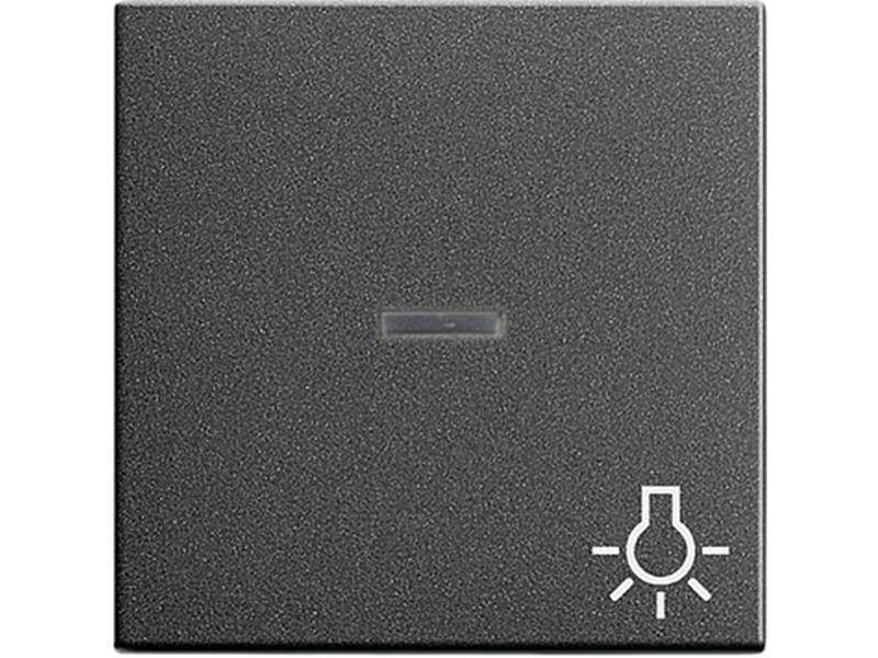 1St. Gira 067428 Wippe Kontroll Symbol Licht System 55 Anthrazit