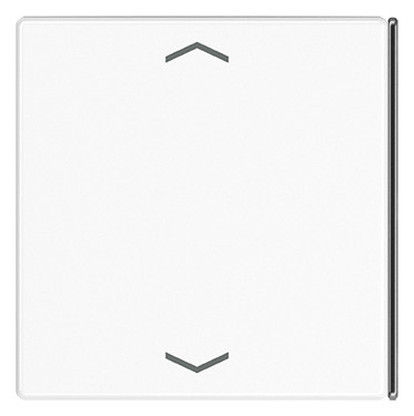 1St. Jung LS404TSAPWW23 Taste 4fach Symbole Auf/Ab LS 404 TSAP WW 23 1St. Jung LS404TSAPWW23 Taste 4fach Symbole Auf/Ab LS 404 TSAP WW 23