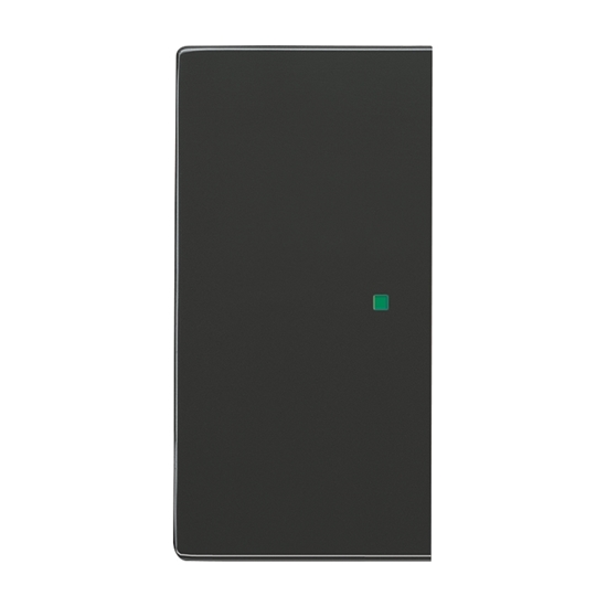 1St. Busch-Jaeger 6230-20-81 Wippe, 2-fach links/rechts, ohne Bedruckung Busch-free@home anthrazit