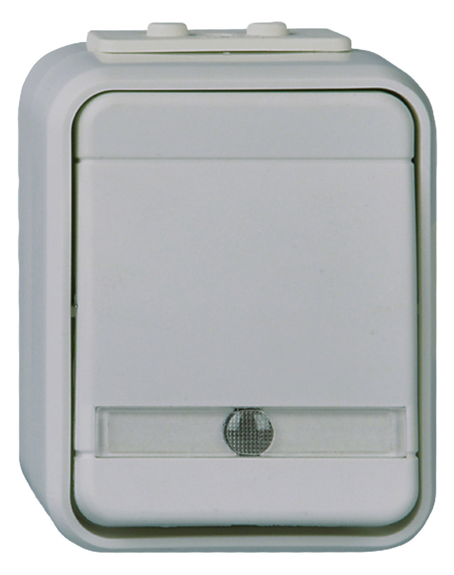 1St. Elso ELG441619 Universal-Schalter beleuchtet 10A AquaTop Steckklemme licht/basaltgrau