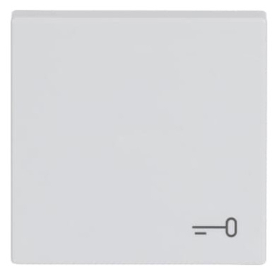 1St. Busch-Jaeger 2520 TR-84 Wippe mit Aufdruck carat studioweiß