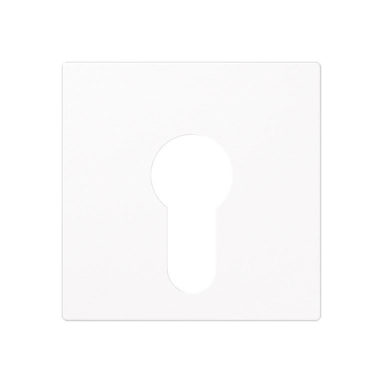 1St. Jung A525PLWW Abdeckung für Schlüsselschalter 104.15 134.15 133.15 und 106.15 A 525 PL WW 1St. Jung A525PLWW Abdeckung für Schlüsselschalter 104.15 134.15 133.15 und 106.15 A 525 PL WW