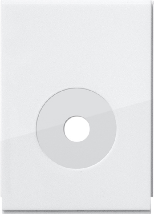 1St. Gira 106503 Verschluss Ltg.einf. 1f System 55 Reinweiß