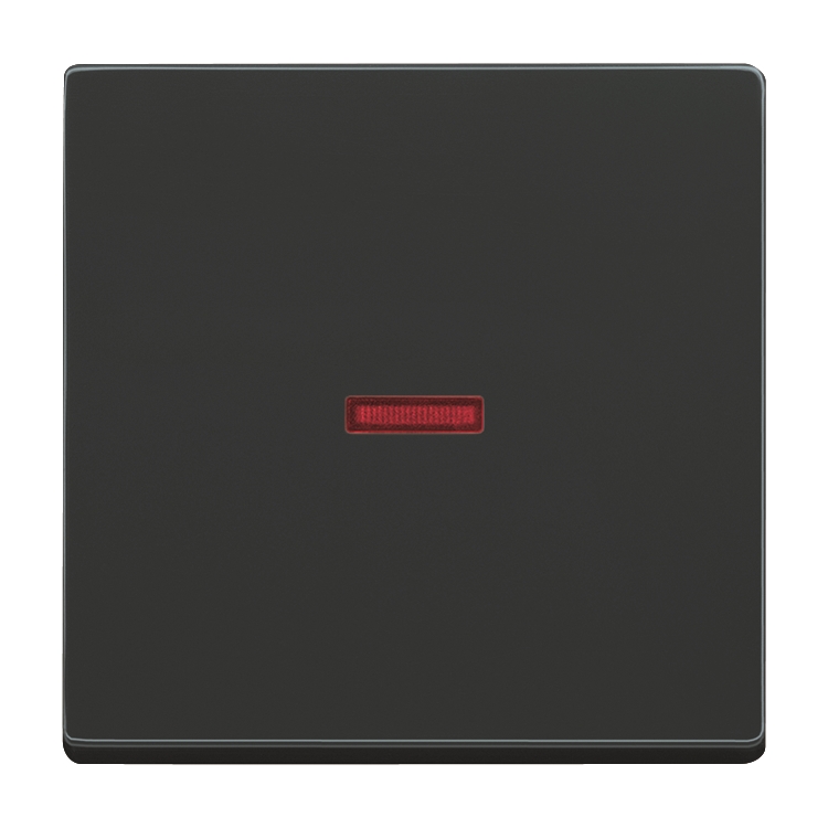 1St. Busch-Jaeger 1789-81 Wippe für Kontrollschalter mit roter Kalotte Busch-dynasty anthrazit